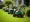 How to Rent an Aerator: A Step-by-Step Guide for Lawn Care Enthusiasts