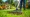 What Is a Landscape Rake Rental? Understanding Its Uses and Benefits