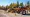 What Is a Log Splitter for Rent? Understanding Types and Uses