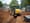 4 Steps on Where to Rent a Trencher for Your Project