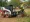 Mastering the Skid Steer Tree Grubber: An Essential Guide for Project Managers