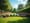 7 Benefits of Electric Lawn Mower Rental for Landscaping