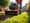 7 Reasons to Choose a Sod Cutter for Rent Near Me