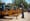 Log Splitter Rental Near Me Prices: Compare DFW Services
