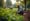 4 Steps for Successful Brush Clearer Rental Management