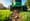 4 Steps to Rent Plug Aerator for Effective Lawn Care