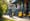 How Much to Rent Power Washer: Key Factors and Steps