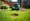 Master Rental Aerators for Lawns: Steps for Success