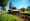 Understanding Sod Removal Rental: Importance and Benefits