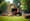 Understanding the Cost to Rent Wood Chipper: Key Factors Explained