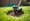 Where to Rent a Lawn Aerator: Essential Steps for Success