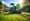 7 Places Where Can I Rent a Lawn Aerator in DFW