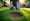 4 Steps to Rent Lawn Aerator Near Me for Your Project