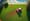 4 Steps to Rent Aerator Lawn for Your Construction Project