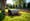 4 Steps for Successful Landscape Roller Rental