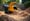 7 Essential Wood Shredders for Rent in Dallas-Fort Worth
