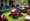 Where to Rent a Lawn Mower Near Me: A Step-by-Step Guide