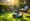 8 Factors Influencing the Cost to Rent an Aerator