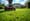 How to Rent a Grass Aerator: Step-by-Step Guide for Success