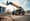 What You Need to Know About Telehandler Forklifts for Rent