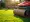 10 Benefits of Using a Lawn Sod Roller for Your Garden
