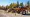 What Is a Log Splitter for Rent? Understanding Types and Uses