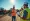 4 Reasons Equipment Renting Benefits Construction Project Managers