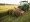 What is a Brush Hog for Rent? Understanding the Basics