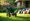 4 Steps for Lawn Spreader Rental Success