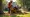 Maximizing Efficiency with Tree Stump Grinder Rental