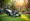 7 Benefits of Push Lawn Mower Rental for Your Landscaping Needs