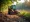 Top Rental Brush Clearing Equipment for Efficient Land Management