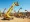 Motor Lift Rental in Dallas, TX: Comparing Top Providers and Their Offerings
