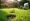Rent a Soil Aerator: Your Step-by-Step Guide for Success