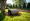 4 Steps for Successful Landscape Roller Rental
