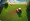 4 Steps to Rent Aerator Lawn for Your Construction Project