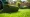 Renting a Sod Roller: Maximizing Efficiency for Lawn Care