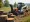 How to Rent a Bobcat Stump Grinder: A Step-by-Step Guide