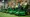 Turf Cutter Rental: Comparing Top Brands and Rental Services