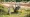 4 Key Benefits of Mini Excavator Mowers for Project Managers