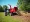 How to Choose and Rent a 12-Inch Chipper: Your Essential Guide