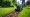 Sod Cutter Rentals Near Me: Your Essential Rental Checklist