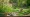 What Are Grass Removal Tools for Rent? A Comprehensive Overview