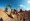 How to Find Earthmoving Equipment Rental Near Me for Projects
