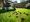 Renting a Lawn Aerator: Steps for Successful Execution