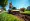 Understanding Sod Removal Rental: Importance and Benefits