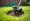 Where to Rent a Lawn Aerator: Essential Steps for Success