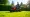 Mower Rentals 101: A Complete Tutorial on Choosing and Using Your Equipment