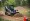 10 Reasons to Choose a Mini Skid Steer Mulcher for Your Projects