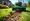 How to Find Lawn Scarifier Rental Near Me: A Step-by-Step Guide
